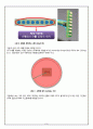 ATMEGA128 마이크로프로세서 잔상LED 잔상디스플레이 2페이지
