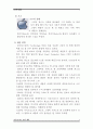 “시들지 않는 사과”(APPLE) [애플소개] 4페이지