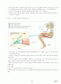 04.운동생리학 {에너지 대사 및 근수축, 순환계•호흡계•내분비계, 훈련 생리학, 운동처방의 이해 및 적용} [임용 전공체육 체육교육과 전공 서적 요약본 레포트, 임용 필수 노트] 33페이지
