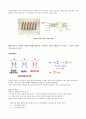 물리학 실험 - 전자기 유도 2페이지