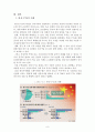 한중FTA 의미와 미래 (FTA의 필요성, FTA 체결 현황, 한∙중 FTA의 추진 현황과 배경 및 의미, 경제적 효과와 미래) 9페이지