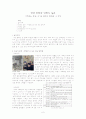 한국의 만화와 만화의 일본 - 허영만을 중심으로  2페이지