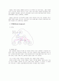 Care Plan 4페이지