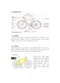 자전거 문화 보고서 3페이지