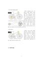 자전거 문화 보고서 5페이지