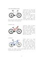 자전거 문화 보고서 6페이지