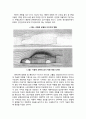 [인간공학human engineering] 감성공학적 자동차의 과거와 현재 - 자동차 내장(시대별 인터리어 디자인 변화, HUD, 어댑티브 헤드라이트, 시트, 전동식 시트 조절장치), 자동차 외장(시작과 적용 및 시대적 흐름에  8페이지