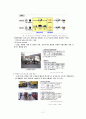 [국내외 그린물류 현황 분석] 녹색물류(Green Logistics)의 정의와 구현방안, 녹색물류의 현황 및 사례연구 전략방안 11페이지