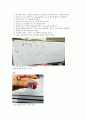 생물학 실험 - 원형 DNA인 플라스미드(plasmid) DNA 2페이지