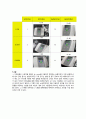 [실험보고서] PH meter(미터) 실험 4페이지