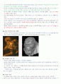 상상력 세계의 메커니즘 중간고사 정리 32페이지
