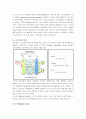 Polymer Electrolyte Fuel Cell의 성능 측정 실험(PEMFC - 고분자 전해질 연료전지) - 연료전지의 기본 원리와 그중 PEMFC의 특성에 대해 이해 4페이지