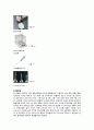 01주차.acetaminophen 650mg 서방정의 용출시험 (실험결과) : 성분은 같으나 회사가 다른 Acetaminophen 650mg 서방정 비교용출 시험을 실시하고 유사성 인자를 찾는다. 2페이지