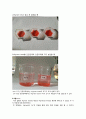 3주차 Alginate bead의 제조(결과) 망상형성 반응
 4페이지