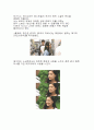 변신 방송 구성 대본 조사 2페이지