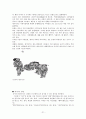 중국의 명절과 전통놀이문화 21페이지