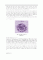 인간의 생존을 위협하는 바이러스(Virus). 그는 적일 수밖에 없는 존재 인가? 4페이지