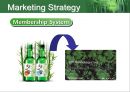 [영문 마케팅 사례 Strategic Marketing] 참이슬 전략적 마케팅 - Strategic Marketing in 참이슬 (참이슬 마케팅 사례 영문).ppt 18페이지
