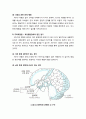 [정신건강론 精神健康論] 주의력결핍 · 과잉행동장애(ADHD) - 주의력결핍 과잉행동장애의 개념과 특성 및 원인 알기, 주의력결핍 과잉행동장애아 도와주기(약물치료, 심리사회적 치료, 행동수정과 환경 조성) 5페이지