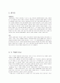 소설 ≪벌레이야기≫와 영화 ≪밀양≫ 2페이지