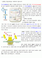 단백질 합성과정을 알고 싶으신가요? 2페이지