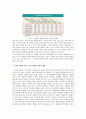 한국 사회의 교육기회의 불평등 - 가정배경의 영향을 중심으로  10페이지