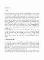 [정부기획기구] 기획기구(organization for planning)의 의의, 정부기획기구의 기능과 형태, 우리나라(한국)의 기획기구 2페이지