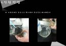 나노물질 및 실험 자성유체 Synthesis of Aqueous Ferrofluid : 액체자석인  Aqueous Ferrofluid를 합성해보고 그 합성물질의 성질 및 특성을 알아본다.pptx 26페이지