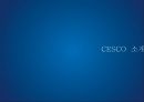 【세스코 CESCO의 서비스마케팅】 세스코 CESCO 기업분석과 서비스전략분석및 세스코 SWOT분분석과 마케팅전략분석및 미래전략제안.pptx 3페이지