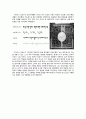 한글 타이포그라피(Typography) 디자인의 선구자, 디자이너 안상수   
 2페이지