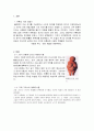 미술 속의 에로티시즘  2페이지