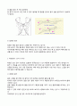 수영水泳 레포트-수영법과 효과 2페이지