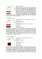 UAE에서의 손목시계 마케팅 전략 3페이지