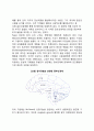 정서에 관한 중추신경계 모형 2페이지