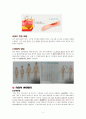 화상 병태생리 및 간호과정 7페이지
