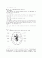 CVA (cerebrovascular accident) 뇌혈관장애에 관한 2페이지