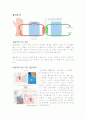  KC 신장센터 케이스 (혈액투석 복막투석 비교) 2페이지
