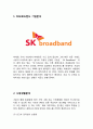 [SK브로드밴드 마케팅전략 사례연구] SK브로드밴드 기업분석과 SK브로드밴드 마케팅 SWOT,STP,4P전략분석및 SK브로드밴드 향후방향연구 3페이지