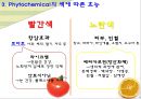 컬러푸드,색에 따른 효능,제7의 영양소,피토케미컬,피토케미컬 식물영양소 7페이지