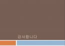 패밀리 레스토랑,아웃벡 빕스,T.G.I, 베니건스,브랜드마케팅,서비스마케팅,글로벌경영,사례분석,swot,stp,4p 17페이지