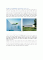 [미니멀리즘 건축] 미니멀리즘 건축의 사례 ; 미니멀리즘 건축의 특징과 발전과정 분석 18페이지