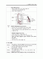 간경변증 진단과 치료 A++ 7페이지