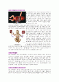 신생아 용혈질환(Hemolytic Disease of the Newborn) 2페이지