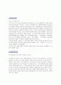 [A+ 독후감] 에밀 2페이지