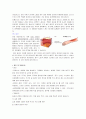 화상 case 2페이지
