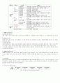 청소년복지론 장애청소년 보고서 2페이지