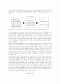 [디자인경영] 디자인경영의 성공사례,   디자인경영의 필요성과 원칙 분석 9페이지