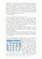 20세기 한국 경제의 성공 요인 2페이지