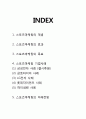 스포츠마케팅 개념,효과연구및 스포츠마케팅 기업 성공사례분석과 스포츠마케팅 미래전망연구 2페이지