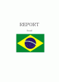 [비교발전행정론] 브라질 정부 구조 행정 발전 및 개혁 과정 1페이지